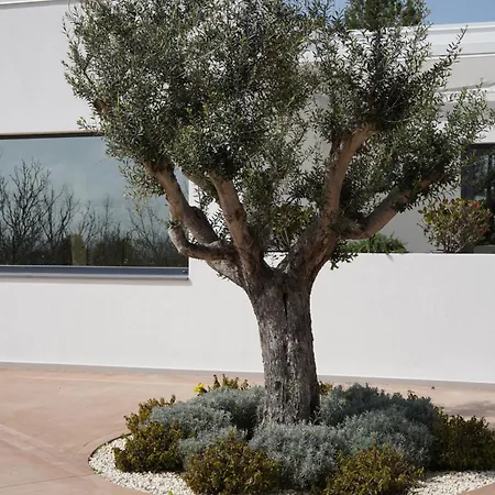 Tenuta San Marco 4*
