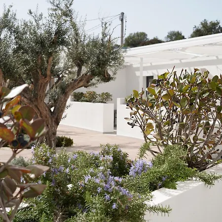 Tenuta San Marco Hotel 4*